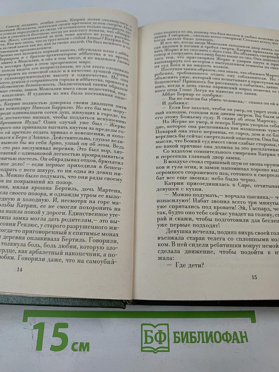 Катрин. Книга 6. Ловушка для Катрин
