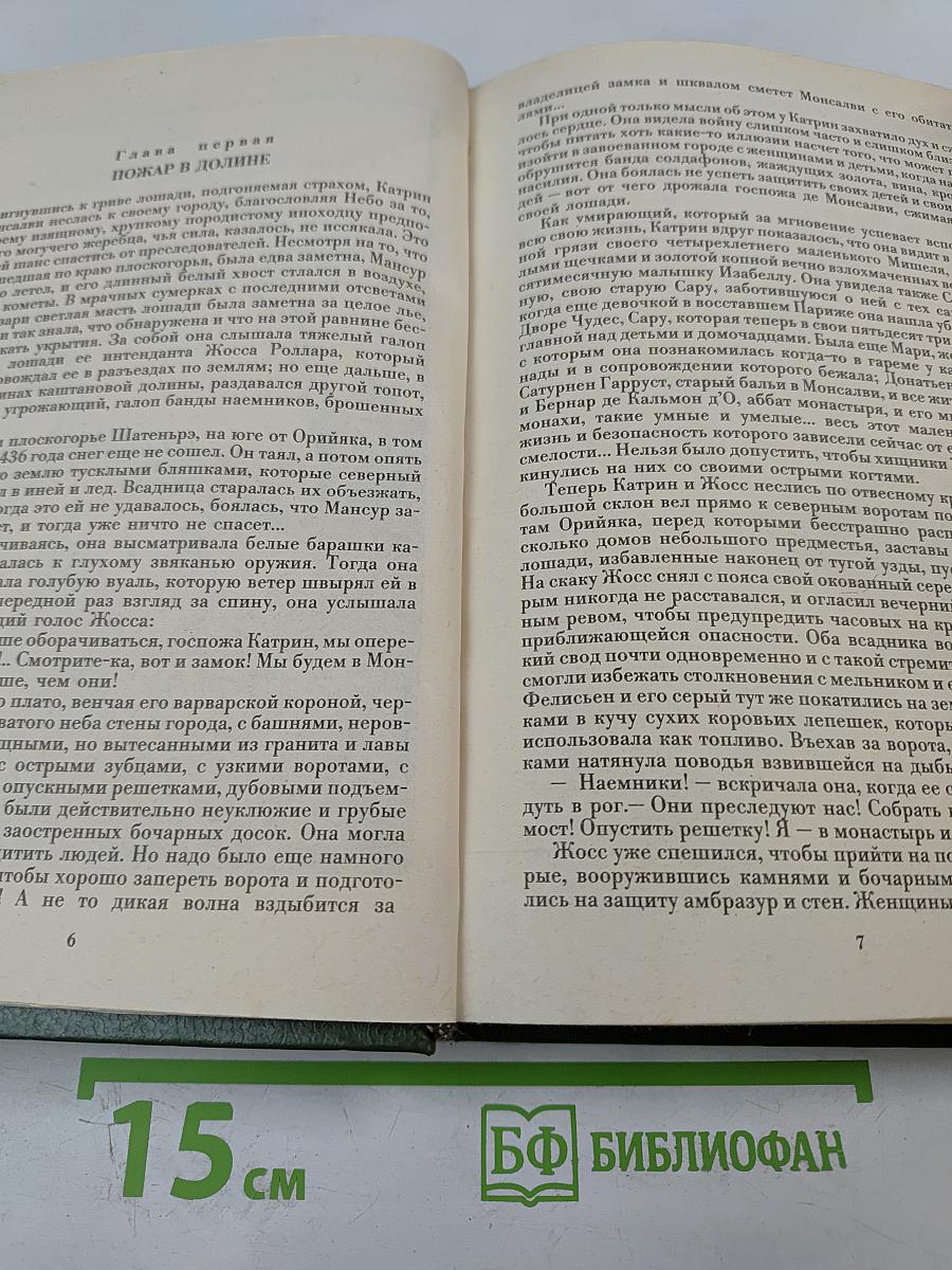Катрин. Книга 6. Ловушка для Катрин