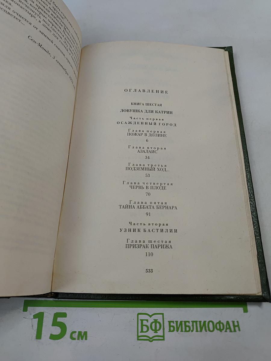 Катрин. Книга 6. Ловушка для Катрин