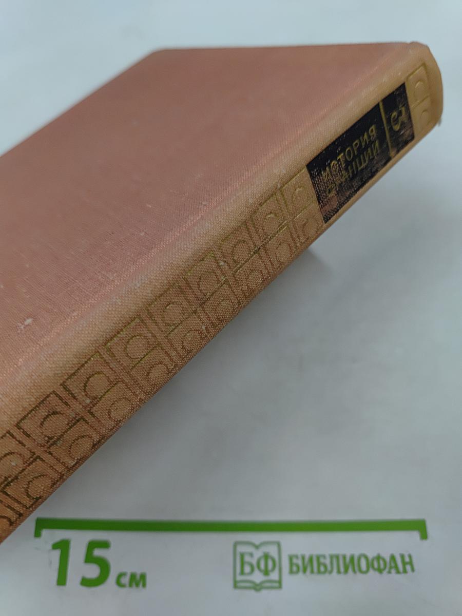 История Франции. Том 3