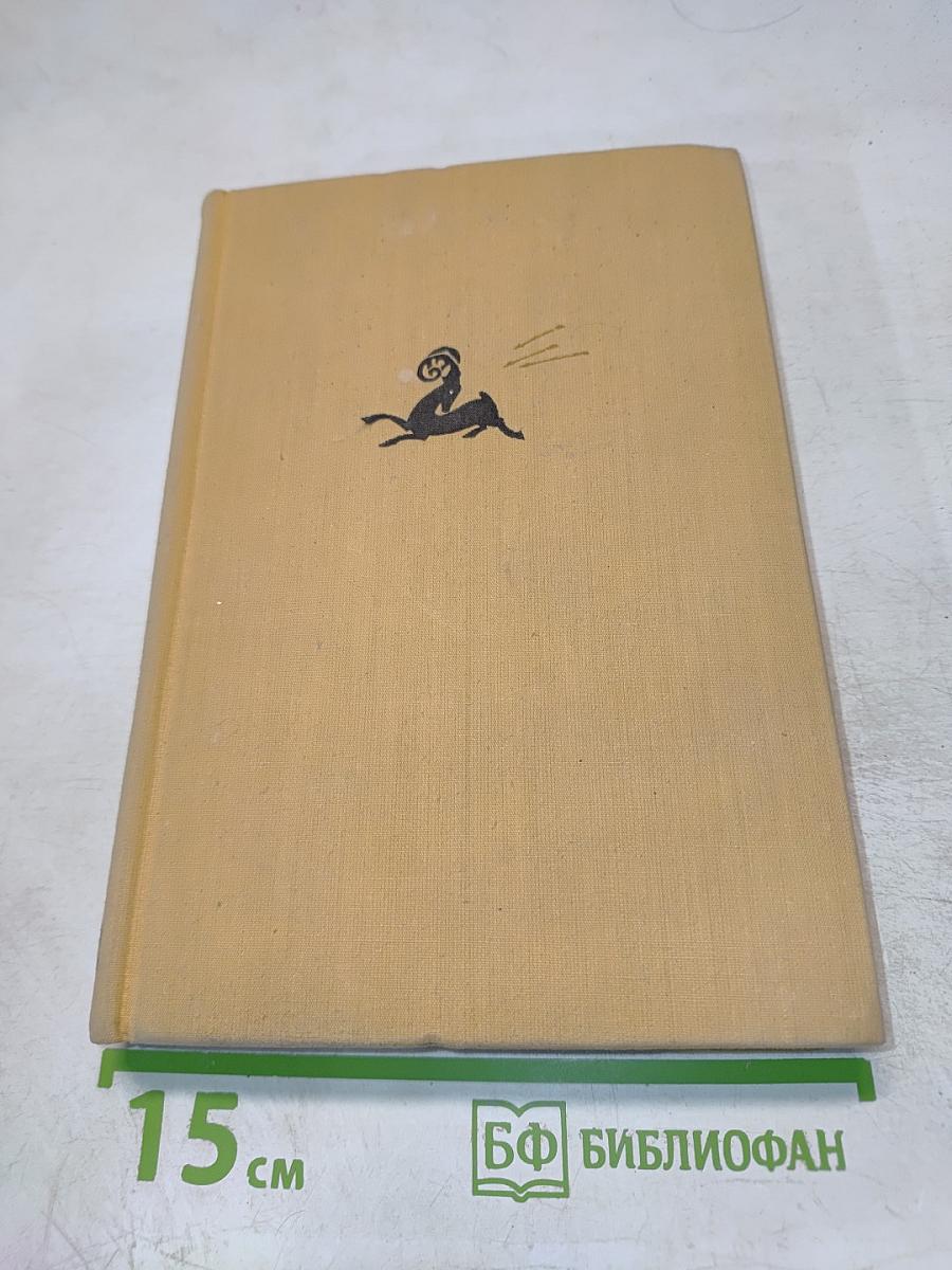 Звезды над Самаркандом