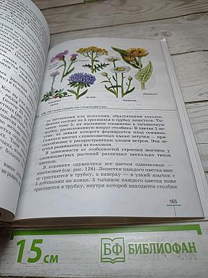 Биология. Многообразие покрытосеменных растений. 6 класс