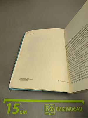 Тесинец. Документальная повесть о революционере-рабочем А. С. Шаповалове