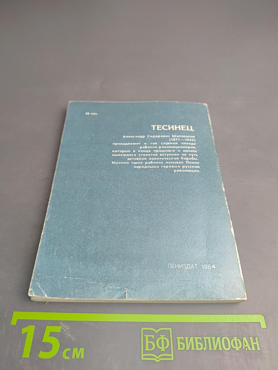 Тесинец. Документальная повесть о революционере-рабочем А. С. Шаповалове