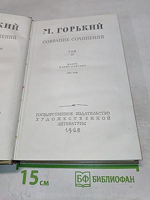 Жизнь Клима Самгина, Том 12 (Собрание сочинений)