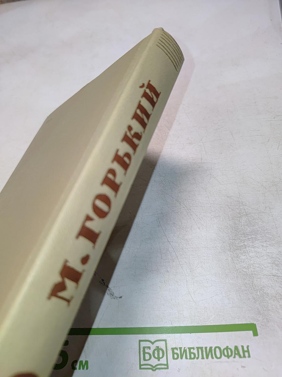 Жизнь Клима Самгина, Том 12 (Собрание сочинений)