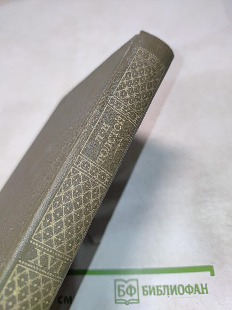 Публицистические произведения 1855 ~ 1886. Том шестнадцатый