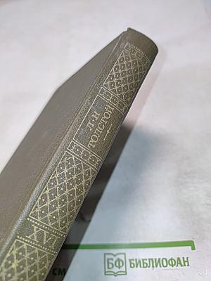 Публицистические произведения 1855 ~ 1886. Том шестнадцатый