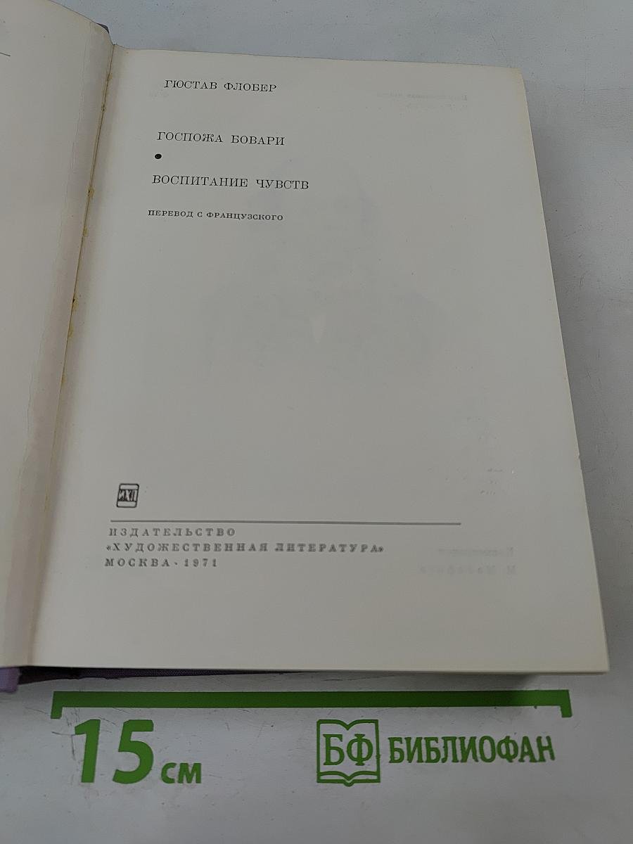 Госпожа Бовари. Воспитание чувств