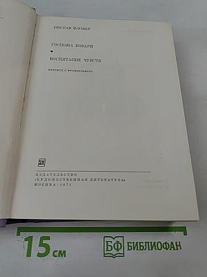Госпожа Бовари. Воспитание чувств
