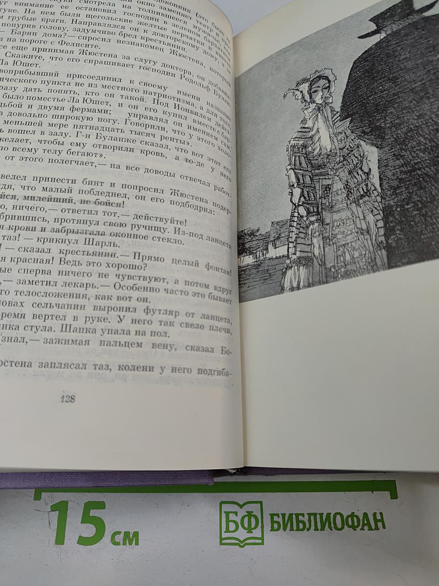 Госпожа Бовари. Воспитание чувств