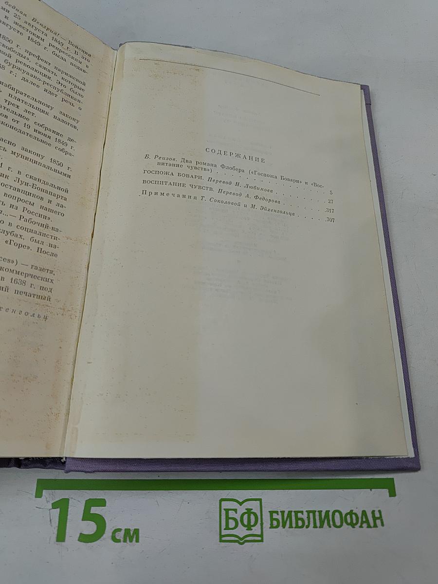 Госпожа Бовари. Воспитание чувств