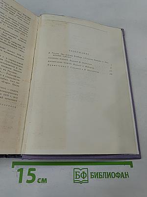 Госпожа Бовари. Воспитание чувств