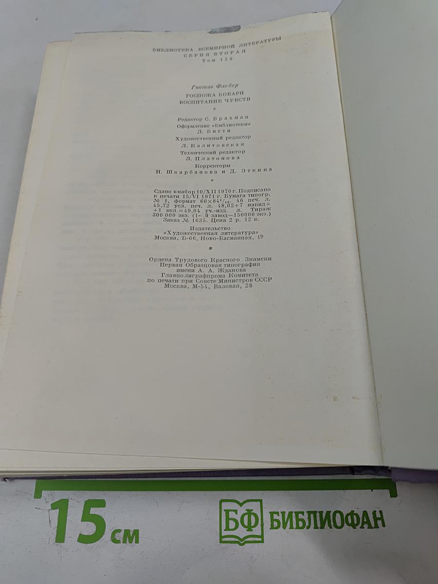 Госпожа Бовари. Воспитание чувств
