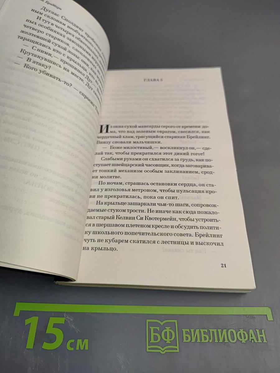 Лето, прощай