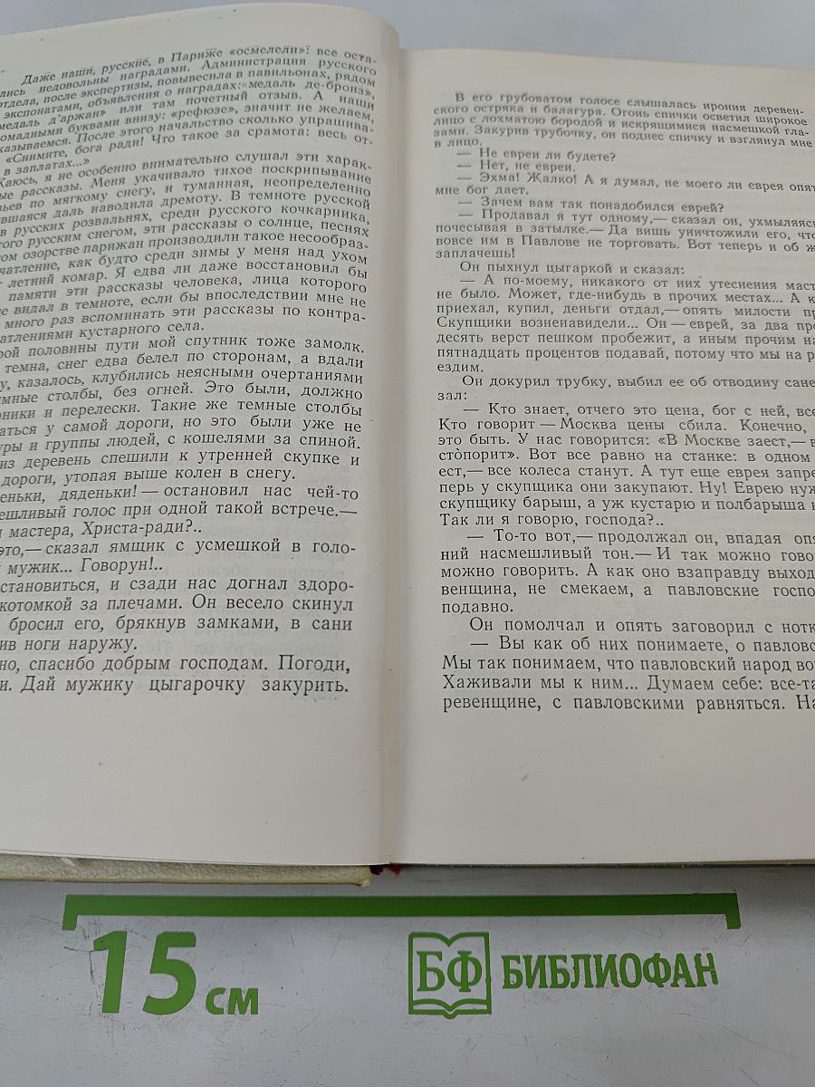 Собрание сочинений. Том девятый. Публицистика
