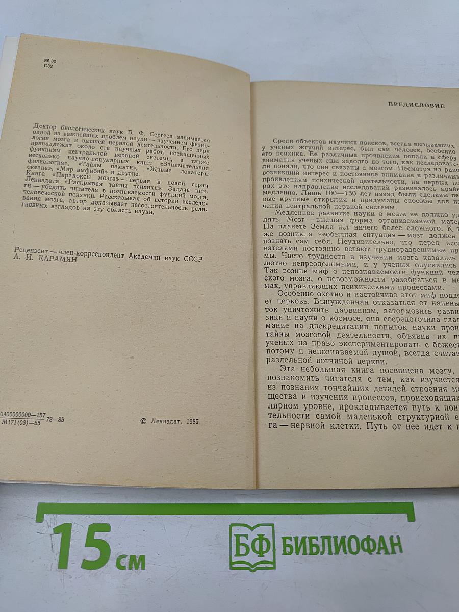 Парадоксы мозга
