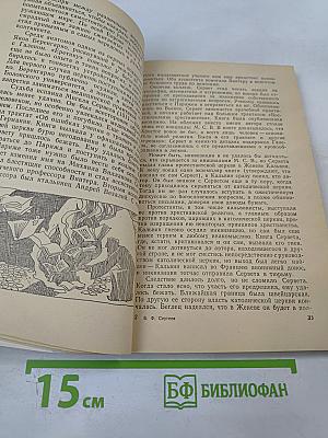 Парадоксы мозга