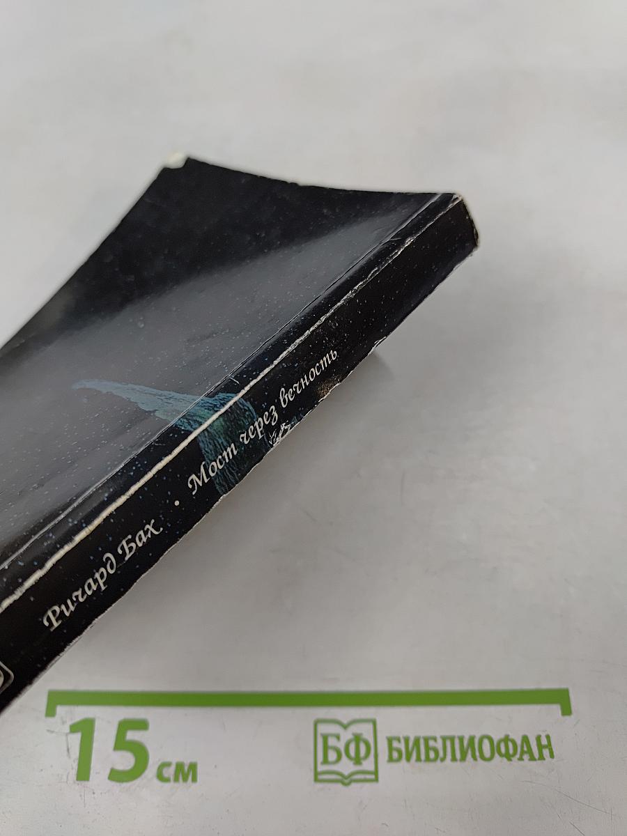 Мост через вечность