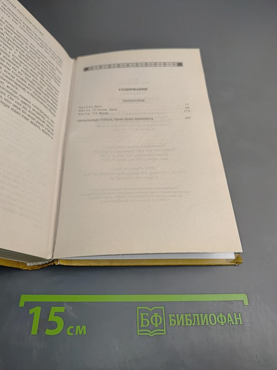 Территория. Печальные странствия Льва Бобейна