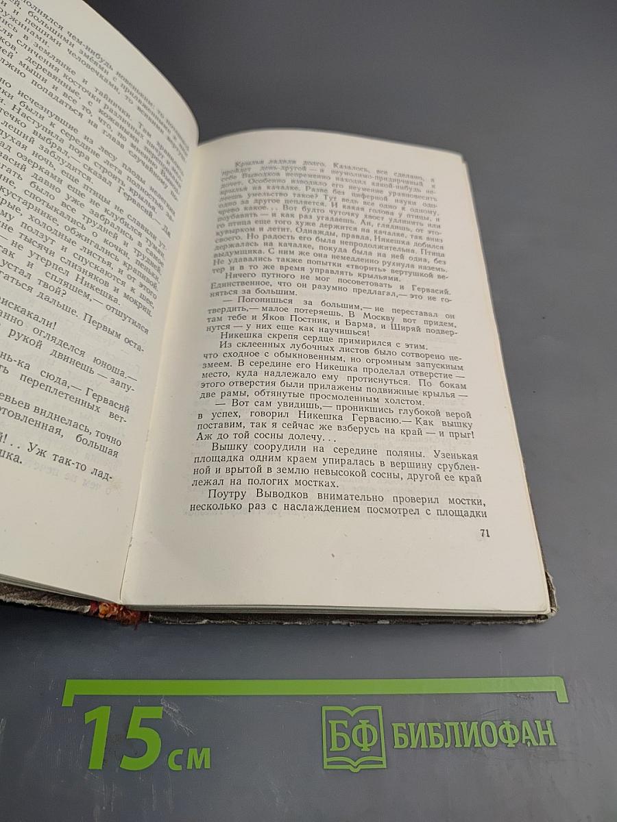 Крылья Холопа