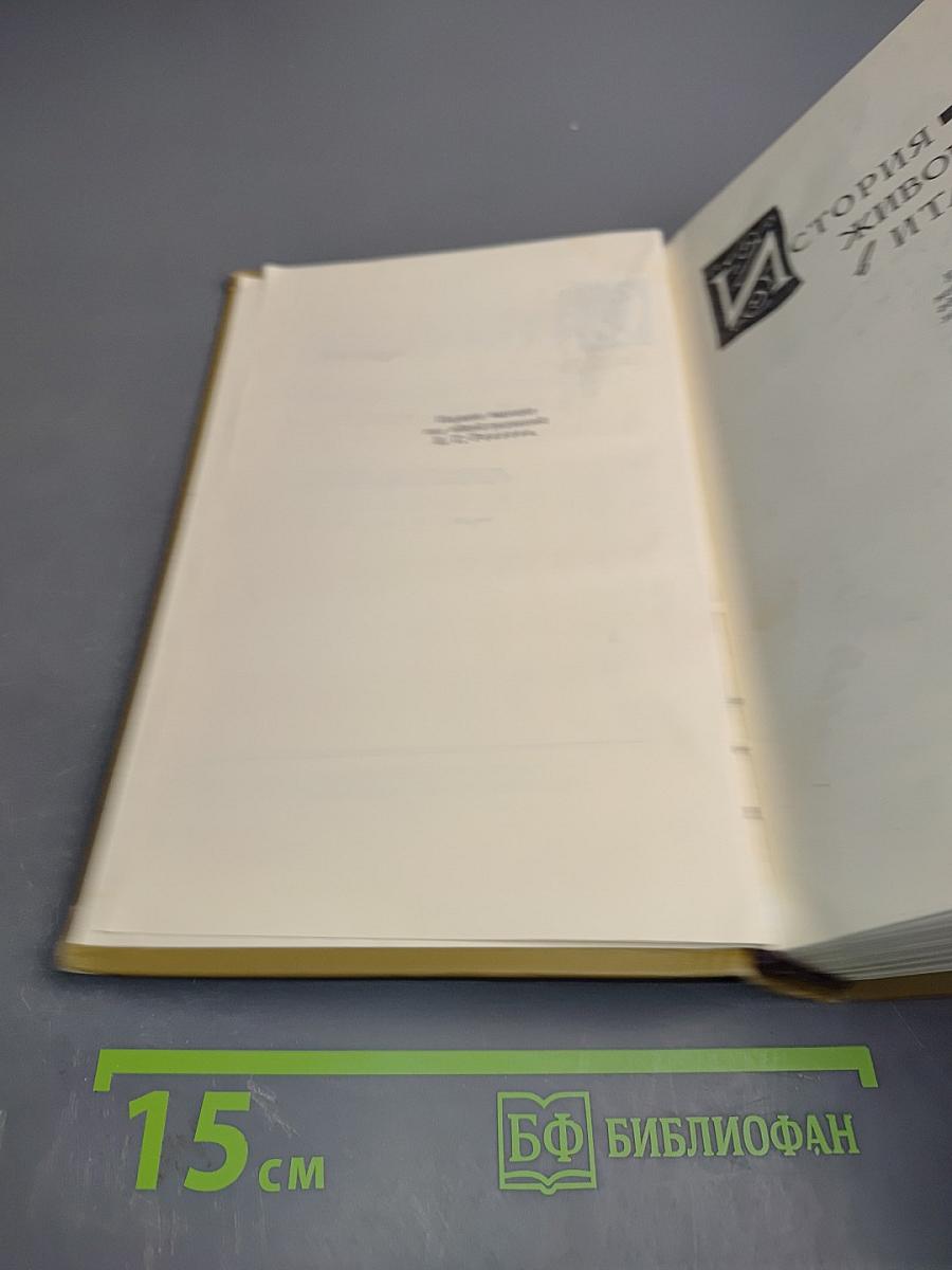 Собрание сочинений в пятнадцати томах. Том шестой: История живописи в Италии