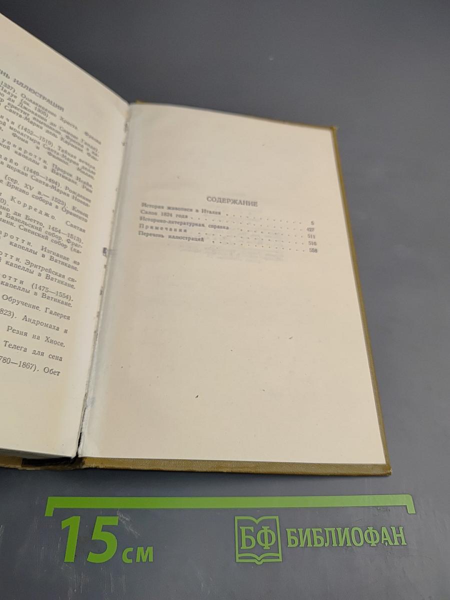 Собрание сочинений в пятнадцати томах. Том шестой: История живописи в Италии