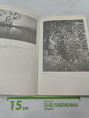 ФОТО. Материалы: обработка печать