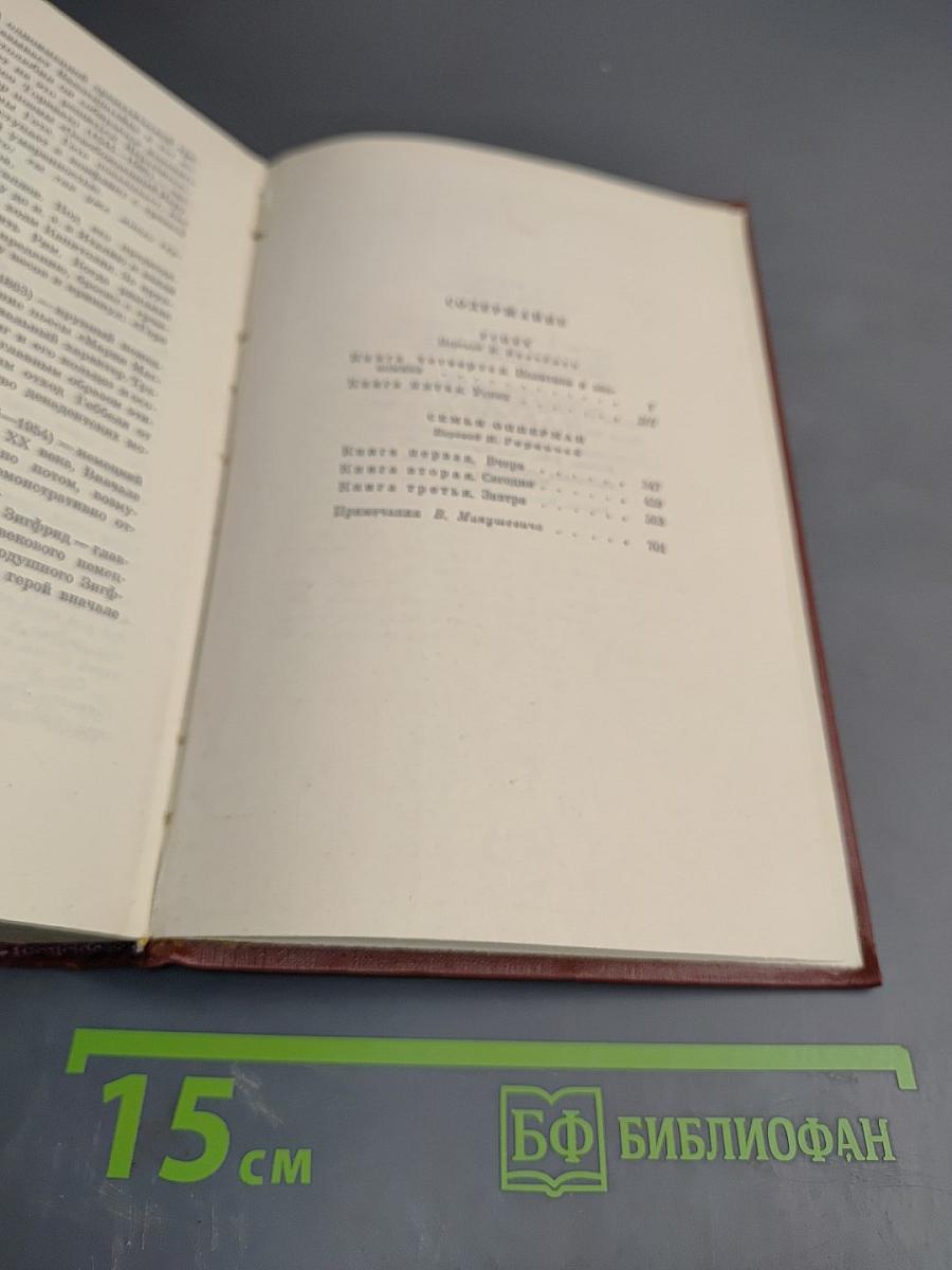 Собрание сочинений Том четвертый. Успех. Книги 4-5. Семья Опперман