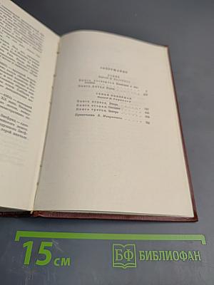 Собрание сочинений Том четвертый. Успех. Книги 4-5. Семья Опперман