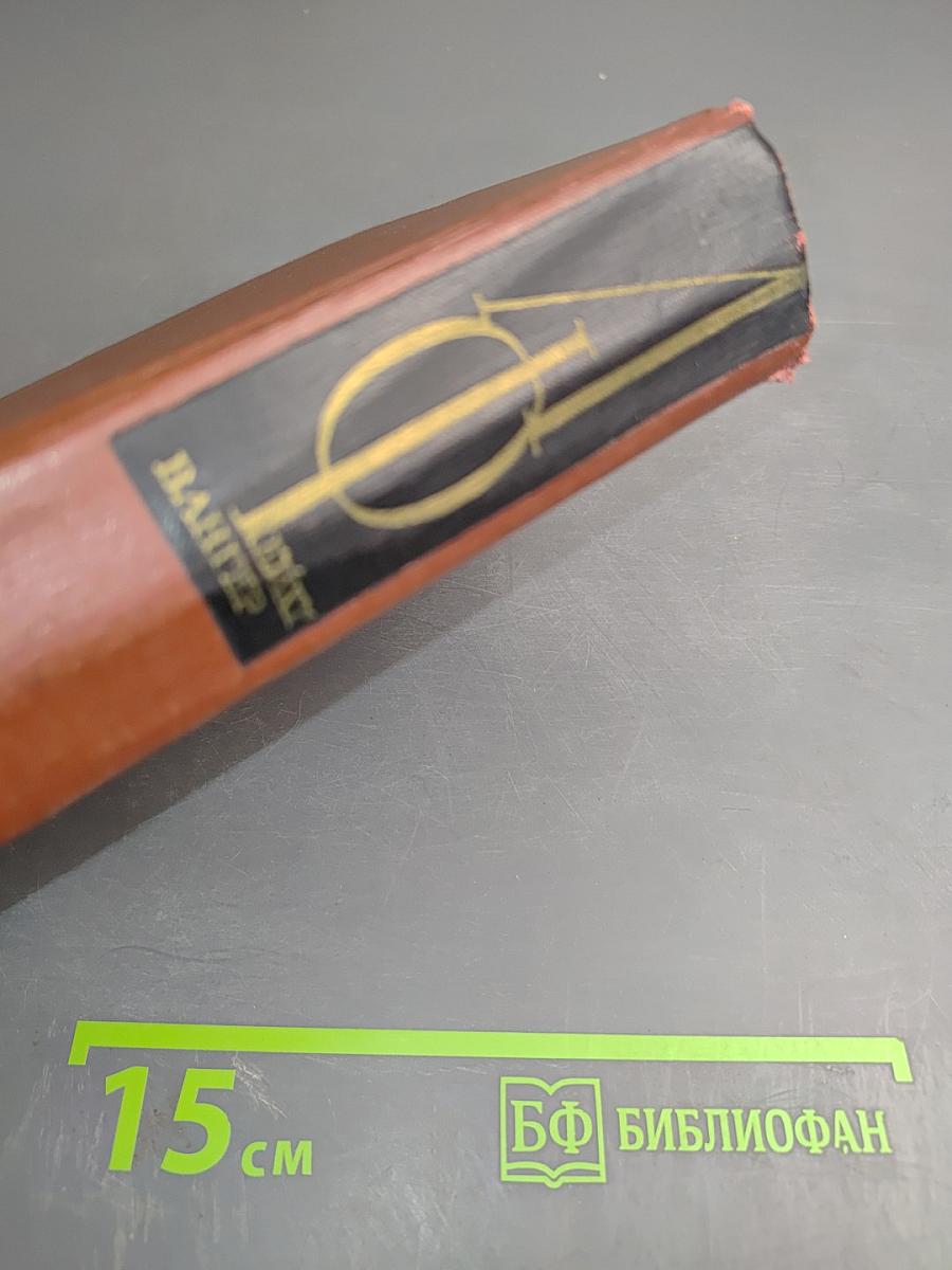 Собрание сочинений Том четвертый. Успех. Книги 4-5. Семья Опперман