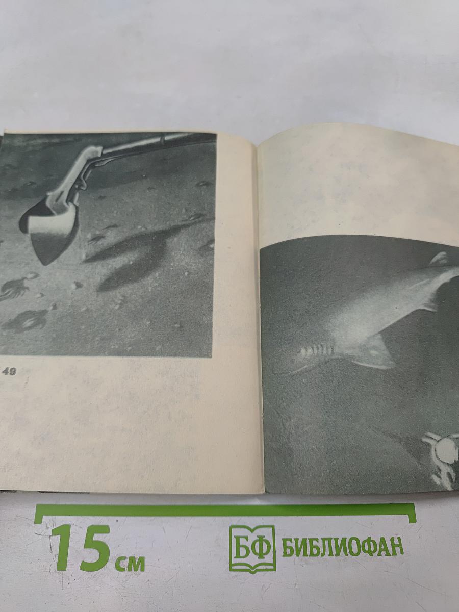 Мир без солнца