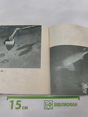 Мир без солнца