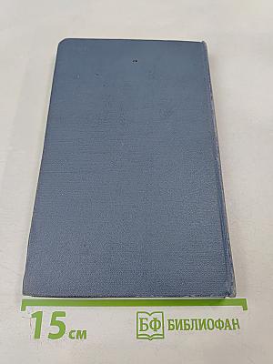 Массовые опросы. Введение в методику демоскопии