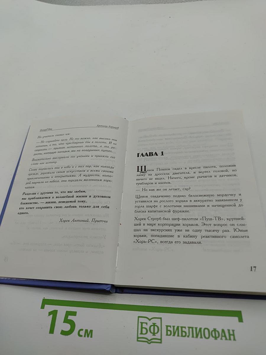Хроники Хорьков. Хорьки в поднебесье