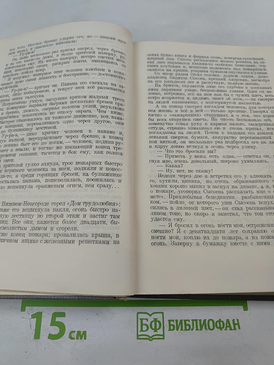 Собрание сочинений. Том X: Заметки из дневника. Воспоминания. Дело Артамоновых