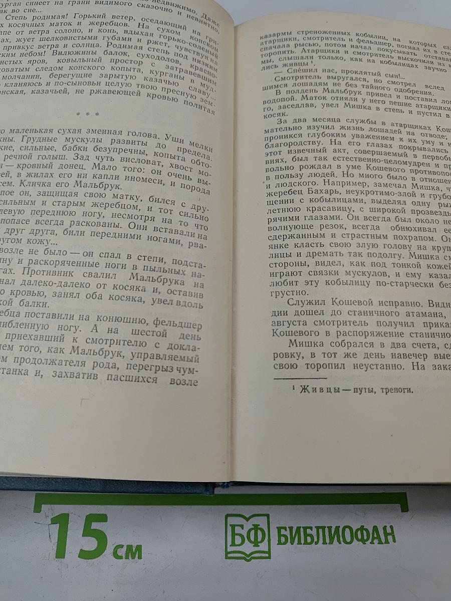 Тихий Дон. Роман в четырех книгах. Книга третья и четвертая