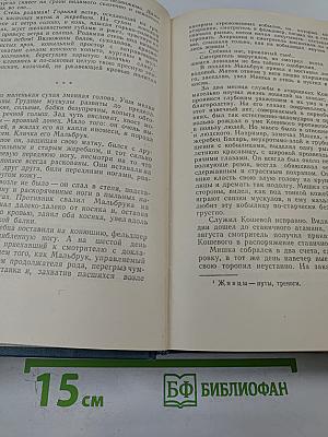 Тихий Дон. Роман в четырех книгах. Книга третья и четвертая