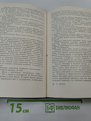 Тихий Дон. Роман в четырех книгах. Книга третья и четвертая