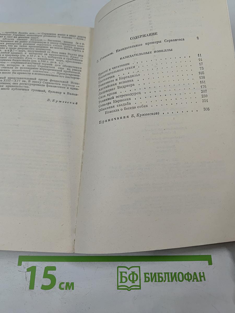 Назидательные новеллы