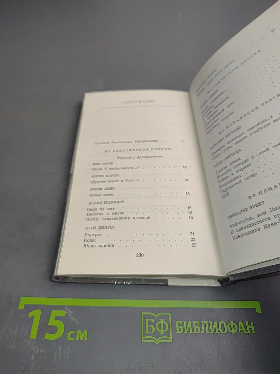 Страницы европейской поэзии XX век