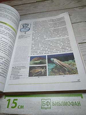 Физика 9 класс