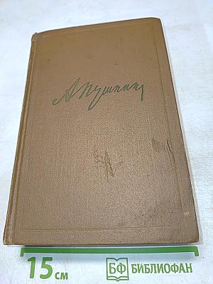 Собрание сочинений. Том шестой. Критика и публицистика