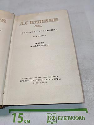 Собрание сочинений. Том шестой. Критика и публицистика