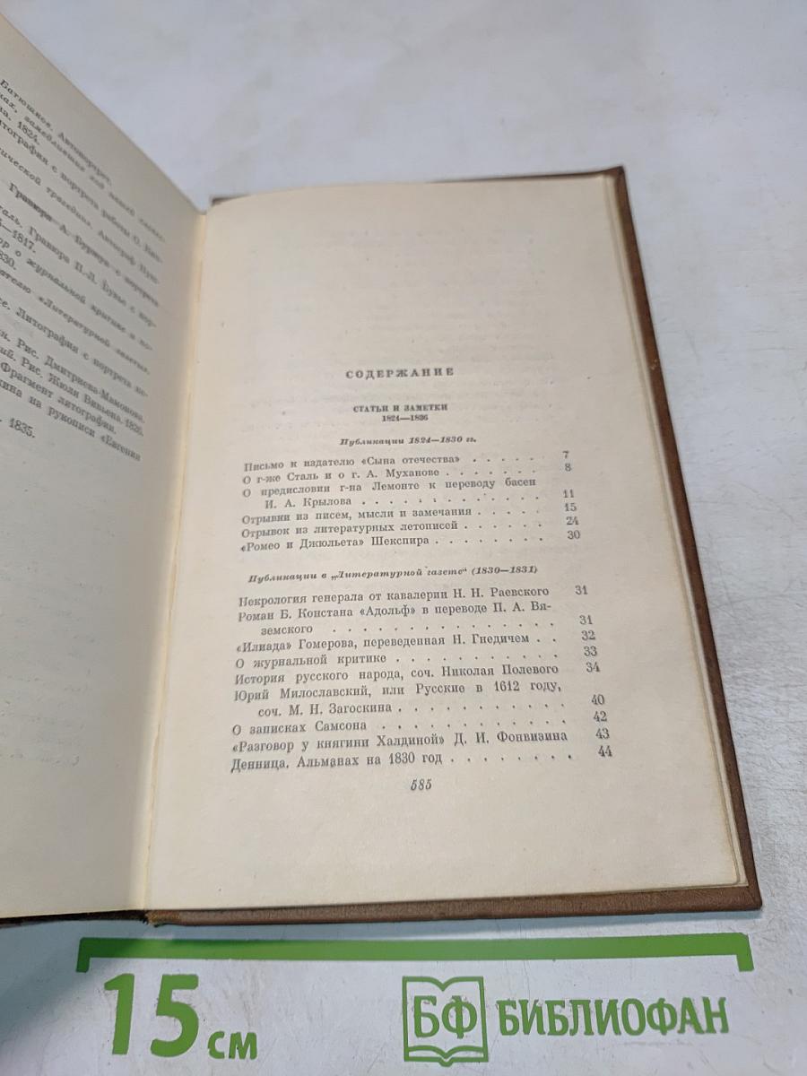 Собрание сочинений. Том шестой. Критика и публицистика