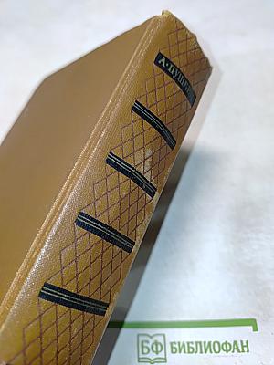 Собрание сочинений. Том шестой. Критика и публицистика