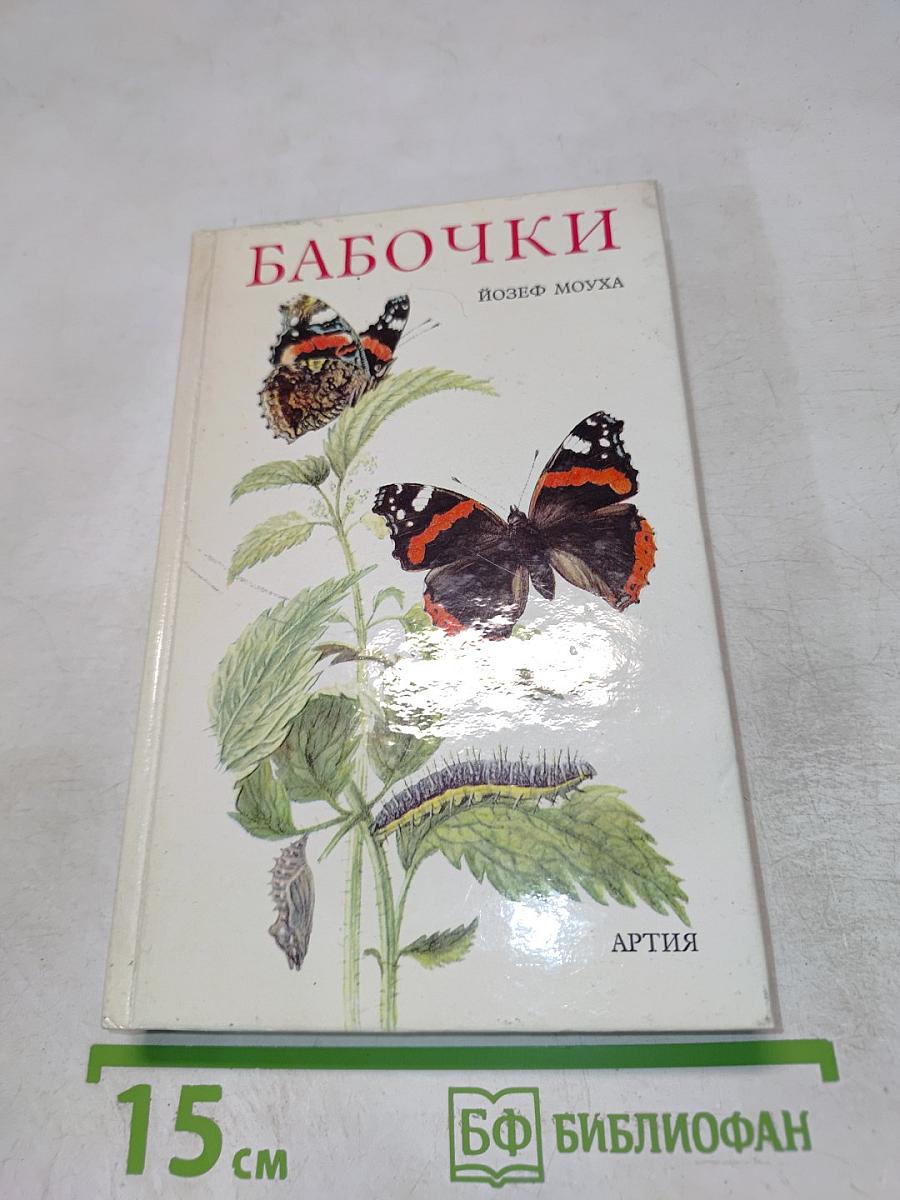 Бабочки