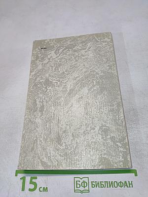 Северная столица