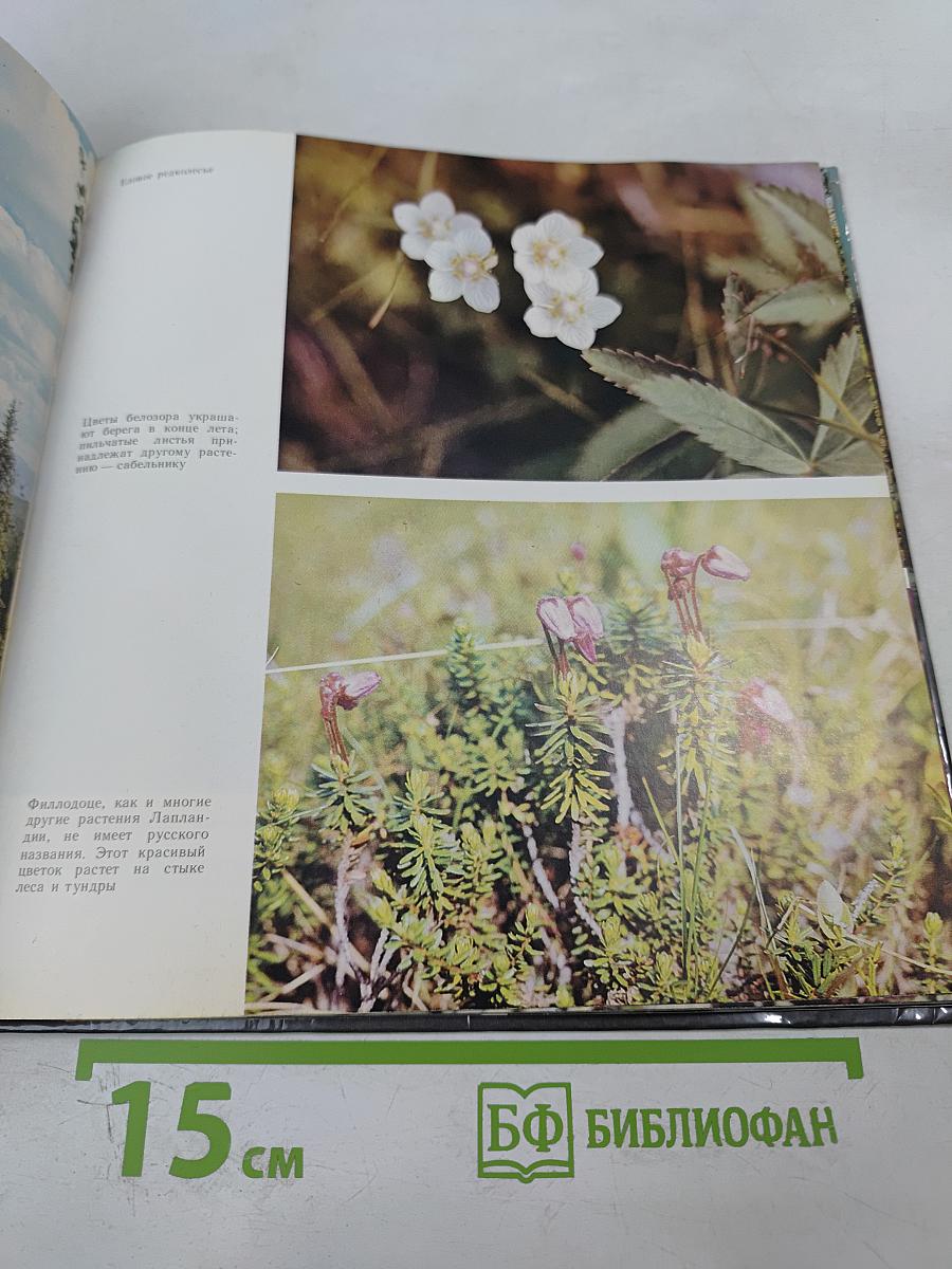 Лапландский заповедник