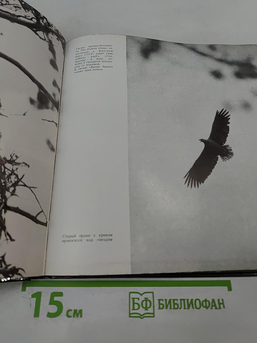 Лапландский заповедник